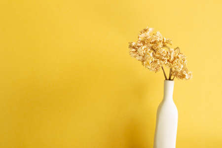 Vase of dry hydrangea flower. yellow backgroundの写真素材