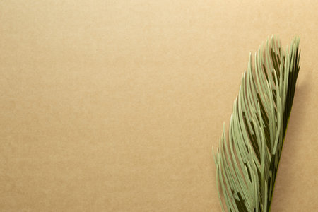Tropical Green leaf on kraft brown paper background. flat lay, top view, copy space