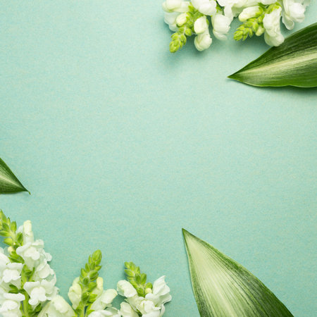 White snapdragon flowers on green background. flat lay, top view, copy space