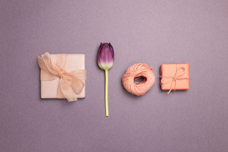 Pink gift boxes, string, purple tulip flower on purple background. flat lay, top view, copy space