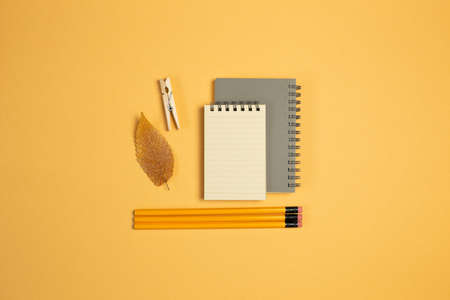 Notebook, pencil, clip, leaves on orange background. flat lay, top view, copy space. Work and study placeの写真素材
