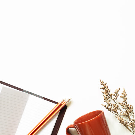 Notebook, pencil, mug cup, dry flower on white background. workspace. top view, copy space