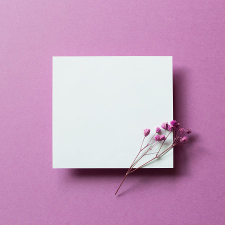 Blank white card paper with dry flower on purple background. top view, copy spaceの写真素材