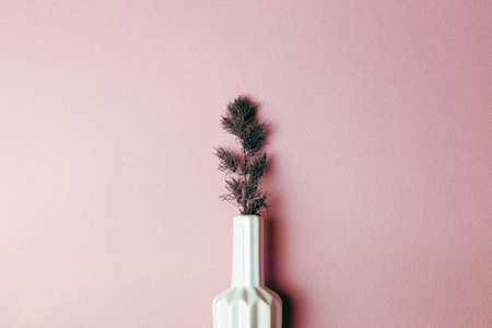 Vase of dry plant on pink background. home decorの写真素材