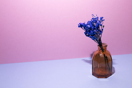Vase of blue baby's breath flowers on blue table. pink wall background. home interior