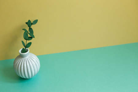 Vase of green eucalyptus leaf on green table. yellow wall background. home interiorの写真素材