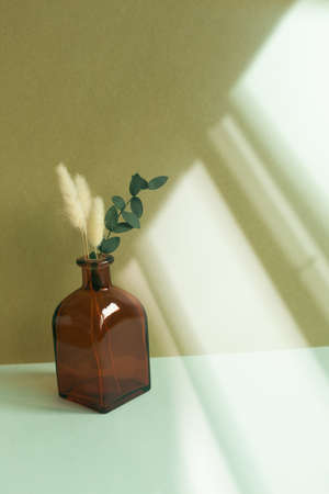 Vase of dry flower on sky blue table. khaki wall background. home interiorの写真素材