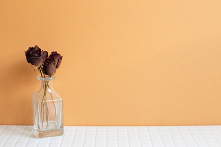 Vase of red dry rose flowers on white table. orange wall background. copy spaceの写真素材