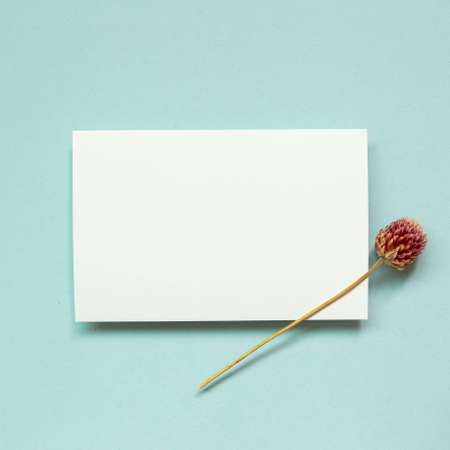 Blank white memo paper with dry flower on blue background. top view, copy spaceの写真素材