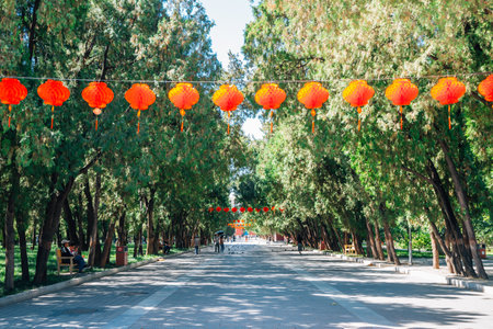 Beijing, China - September 21, 2018 : Green tree road and hanging chinese lanterns at Temple of Earth, Ditan Parkのeditorial素材