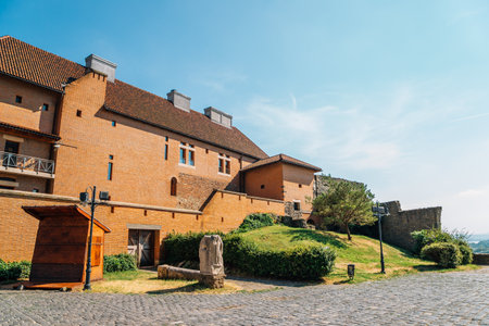 Royal Castle of Esztergom in Hungaryのeditorial素材