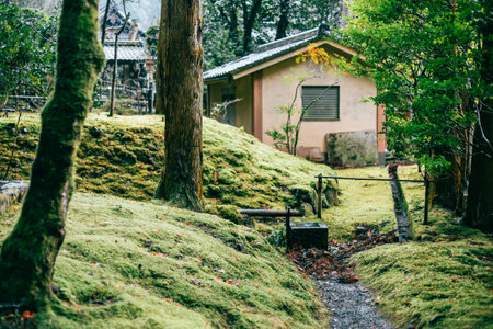 Jakkoin temple, garden view in Ohara, Kyoto, Japanのeditorial素材