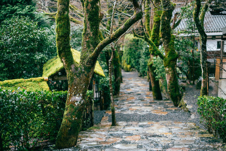 Jakkoin temple, garden view in Ohara, Kyoto, Japanのeditorial素材