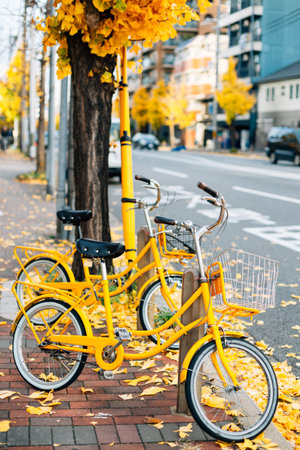 Autumn ginkgo tree and bicycle in Japanのeditorial素材
