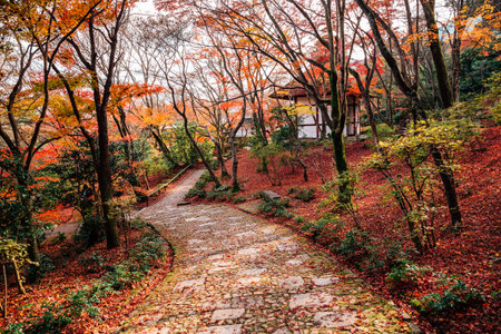 Jojakko-ji temple with autumn maple in Arashiyama, Kyoto, Japanのeditorial素材