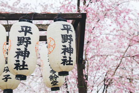 Hirano Shrine cherry blossom festival lanterns in Kyoto, Japanのeditorial素材