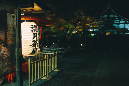 Kyoto, Japan - November 30, 2016 : Japanese style lantern with kodaiji temple and maple tree at nightのeditorial素材