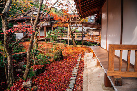 Jojakko-ji temple with autumn maple in Arashiyama, Kyoto, Japanのeditorial素材