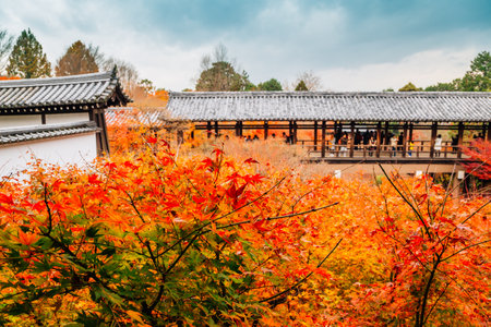 Tofukuji temple with autumn maple in Kyoto, Japanのeditorial素材