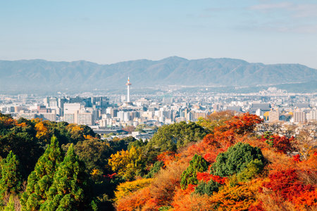 Kyoto city view with autumn maple tree in Japan