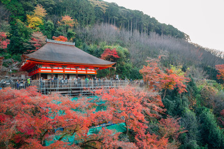 Kyoto, Japan - December 3, 2016 : Kiyomizu-dera temple with autumn maple treeのeditorial素材