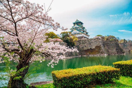 Osaka castle with cherry blossoms of spring in Japanのeditorial素材