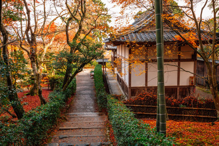 Autumn of Jojakko-ji temple in Arashiyama, Kyoto, Japanのeditorial素材