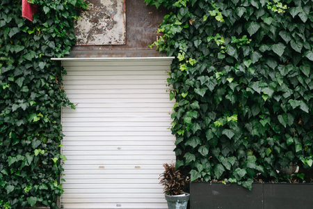 Vintage style shop with vine exterior in Fukuoka, Japanのeditorial素材