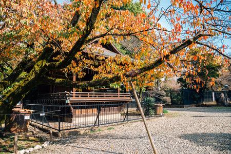 Toshogu shrine with autumn leaves at Ueno park in Tokyo, Japanのeditorial素材