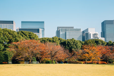 Imperial Palace East Gardens and modern buildings at autumn in Tokyo, Japanのeditorial素材