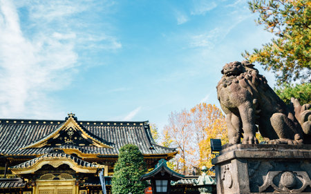Toshogu shrine with autumn maple at Ueno park in Tokyo, Japanのeditorial素材