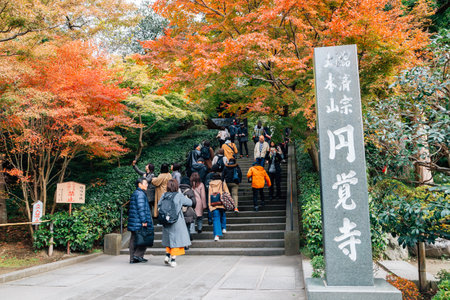 Kamakura, Japan - November 24, 2018 : Engakuji Temple with autumn mapleのeditorial素材