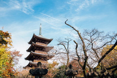 Five storied pagoda of kanei-ji temple at Ueno park in Tokyo, Japanのeditorial素材