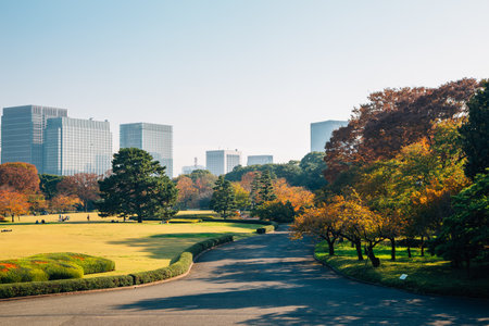 Imperial Palace East Gardens and modern buildings at autumn in Tokyo, Japanのeditorial素材