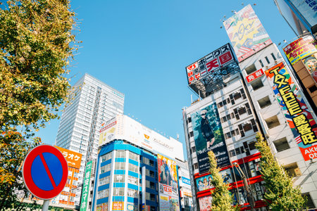 Tokyo, Japan - November 25, 2018: Akihabara district. Animation, game, electronics shopping streetのeditorial素材