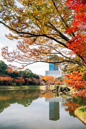 Koishikawa Korakuen Garden at autumn in Tokyo, Japanのeditorial素材