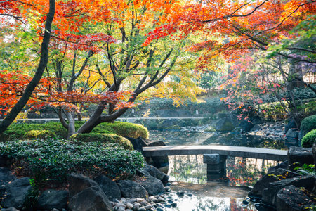 Otaguro Park pond and autumn maple tree in Tokyo, Japanのeditorial素材