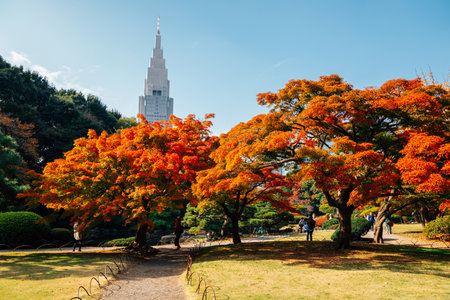 Shinjuku Gyoen park at autumn in Tokyo, Japanのeditorial素材