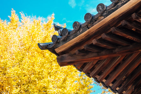 Nezu shrine traditional roof and autumn ginkgo tree in Tokyo, Japanのeditorial素材
