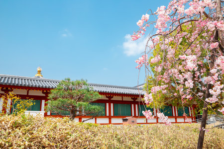 Yakushi-ji ancient Buddhist temple with spring cherry blossoms in Nara, Japanのeditorial素材