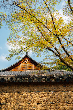 Toshodaiji temple and green tree in Nara, Japanのeditorial素材