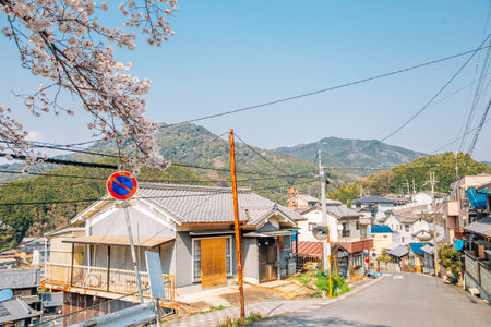 Hase countryside village street at spring in Nara, japanのeditorial素材