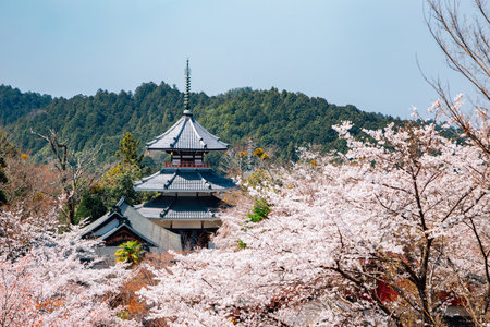 Yoshino mountain Kinpusen-ji temple with spring cherry blossoms in Nara, Japanのeditorial素材