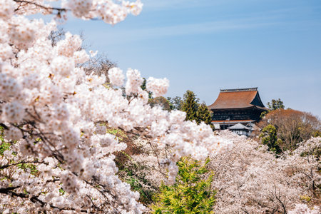 Yoshino mountain Yoshimizu Shrine with spring cherry blossoms in Nara, Japanのeditorial素材