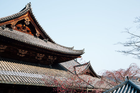 Hasedera temple at spring in Nara, Japan