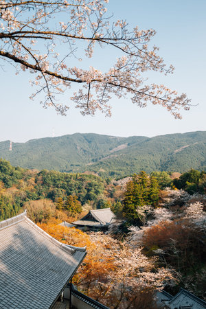 View of Hasedera temple at spring in Nara, japan