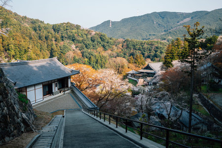 Panoramic view of Hasedera temple at spring in Nara, Japan