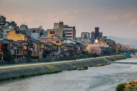 Gion Pontocho old restaurants, Japanese traditional houses with Kamo river in Kyoto, Japanのeditorial素材