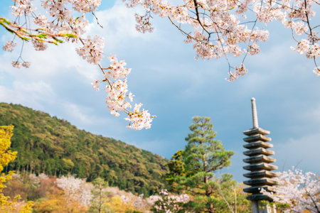 Kiyomizu-dera temple with cherry blossoms at spring in Kyoto, Japanのeditorial素材