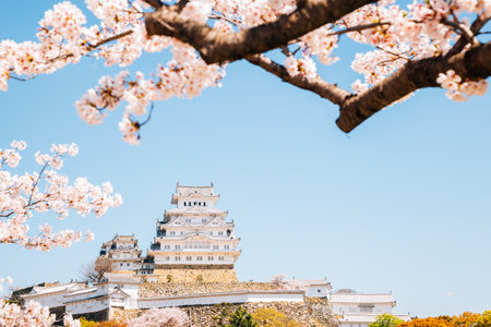Himeji Castle with spring cherry blossoms in Japanのeditorial素材